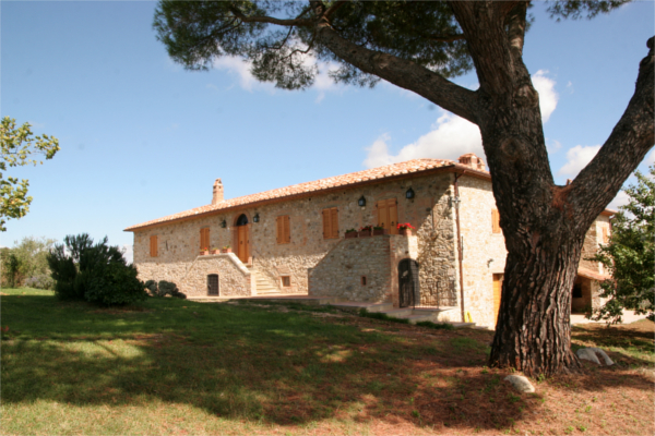 Vista laterale