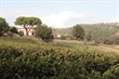Il Paesaggio